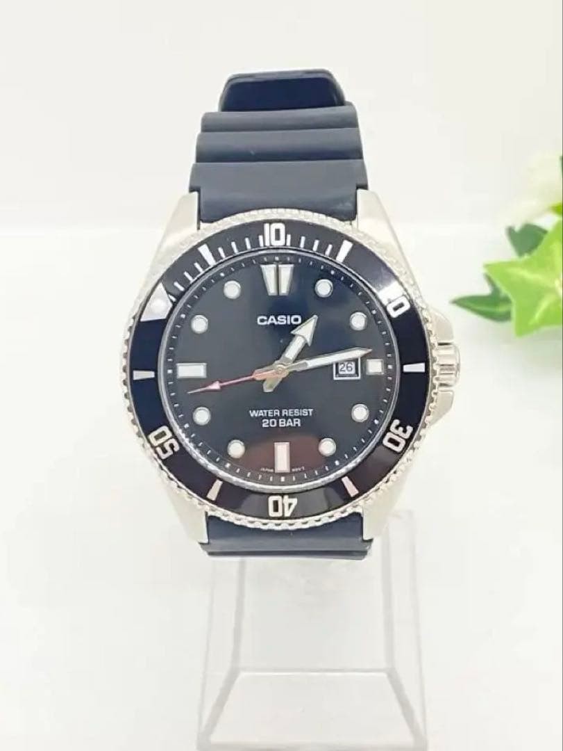 Casio Working Diver