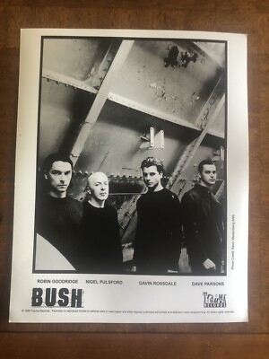 Bush an Alternative Rock Band w Gavin Rossdale RARE 8x10 Press Photo # 2
