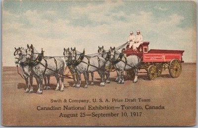 1917 CANADIAN NATIONAL EXHIBITION Toronto Postcard ''Swift & Co Prize Draft Team''