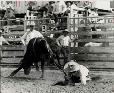 Press Photo A bull wins and a riders falls down at Little Britches ...