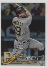 2018 Topps Rainbow Foil Francisco Cervelli #527 fm0