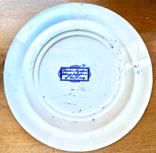 Antiker 1820er Clews Staffordshire Dr. Syntax Teller in Besitz genommen... 10,5 Zoll sehr guter Zustand - Bild 4 von 5