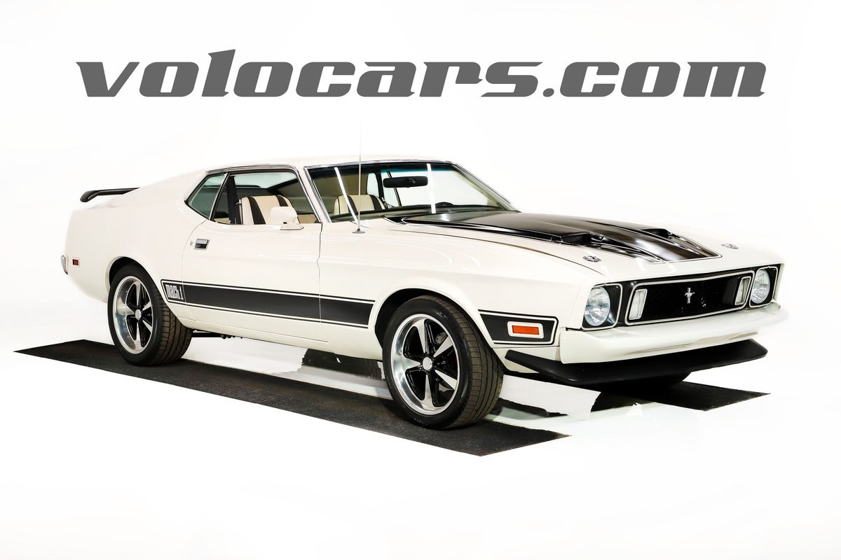1973 Ford Mustang for sale in Round Lake Illinois