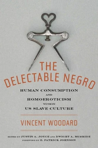 The Delectable Negro by Vincent Woodard (Paperback Book)