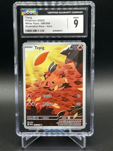 Pokemon TCG Tepig 96 White Flare Illustration Rare CGC 9