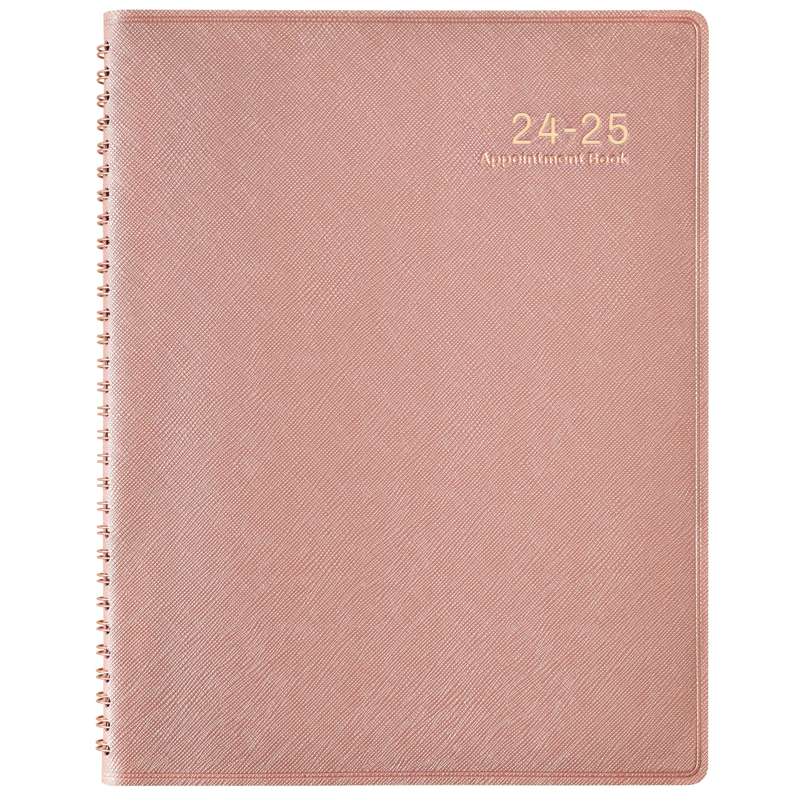 2024-2025 Weekly Appointment Book/Planner - 53 Weeks Daily Planner 2024-2025 ...