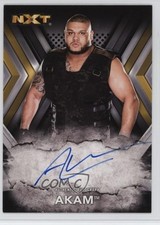 2017 Topps WWE NXT Auto Akam #RA-AK Auto 16hd
