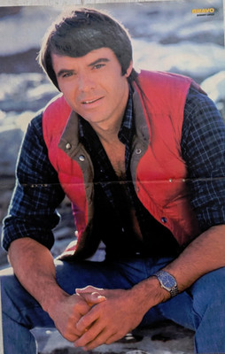 Bravo ++ Poster ++ Robert Urich