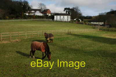 Foto 6x4 Pferde und Häuser in Clent Pferde in einer Koppel unter einigen Häusern c2008