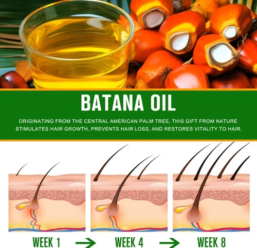 2x Batana Öl Für Haarwachstum Reines Bio-Batana-Öl Für Haarausfall Pflege Creme - Bild 6 von 16