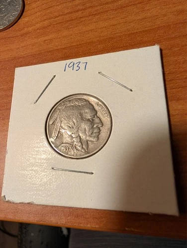 1937 P Philadelphia Buffalo Nickel Full Date Horn Visible