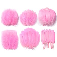 Pink Craft Feathers Bulk - 240pcs 6 Style Natural Decorative Feathers for Wed...