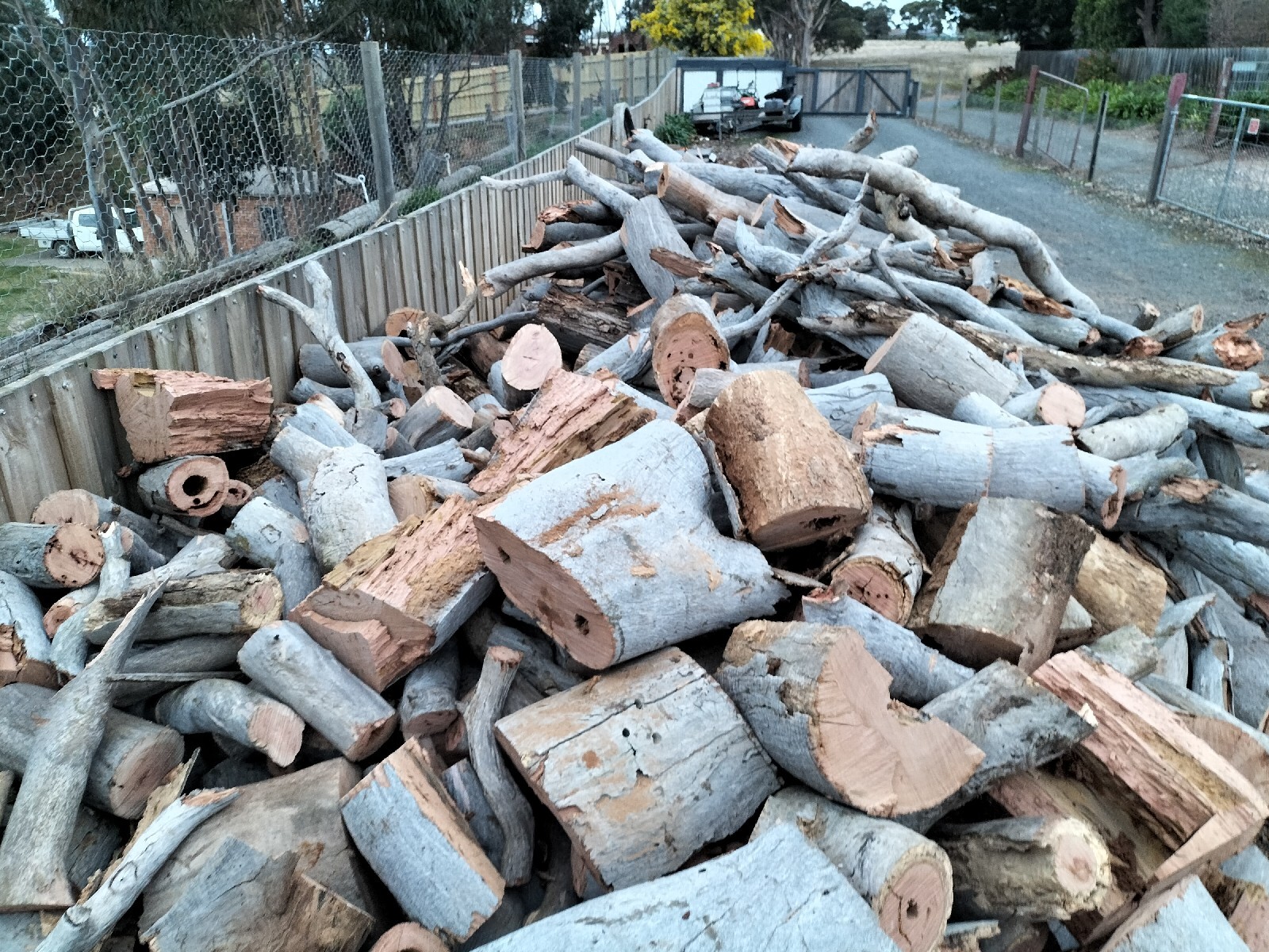 Yellow Box firewood eBay