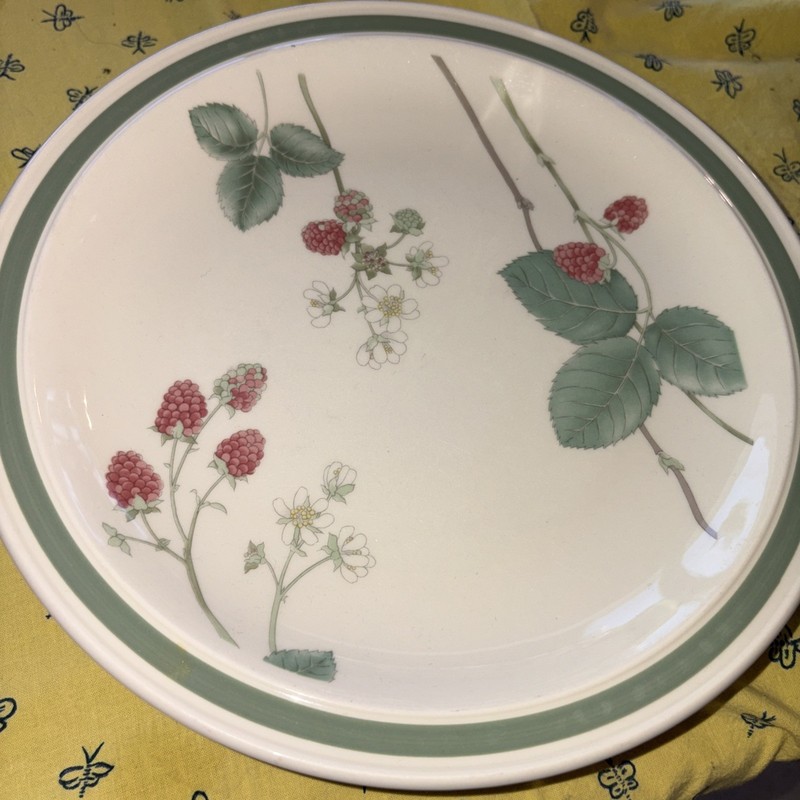 Wedgwood Raspberry Cane 10.5” Dinner Plates Set of 4+1 England Discontinued