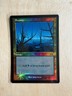 MTG Foil Swamp - John Avon Arena Promo - Urza's Saga Art - NM