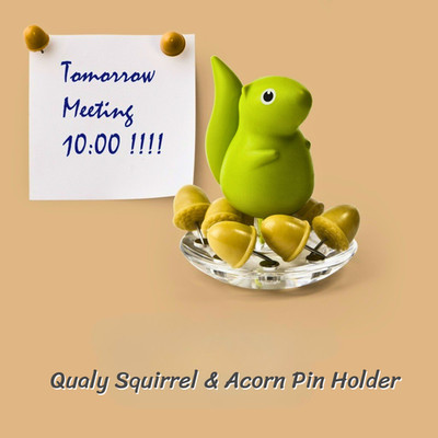 Qualy Squirrel Acorn 8 Push Pins Holder Cute Desk Organizer Magnet Eco-Friendly