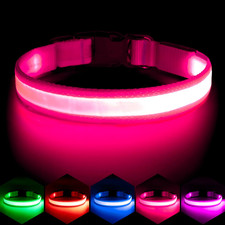 LED Dog Collar, Light up Dog Collar Adjustable USB Rechargeable Safety Light - M