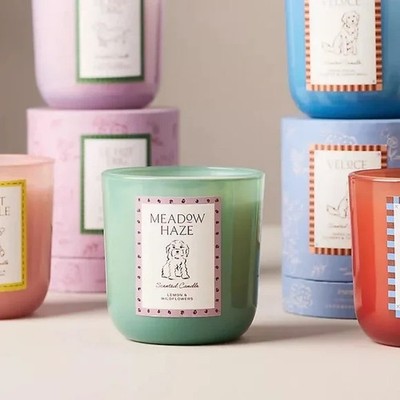 PAPIER X ANTHROPOLOGIE | 8 oz. | Champs De France Homebody Meadow Haze MSRP$150