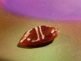 ANCIENT PYU KUSHAN LINE DECORATED TOGGLE SHAPED 4 EYE IN EYE BEAD 11.7 5.1 3 MM
