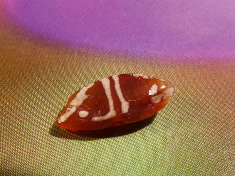 ANCIENT PYU KUSHAN LINE DECORATED TOGGLE SHAPED 4 EYE IN EYE BEAD 11.7-5.1-3 MM