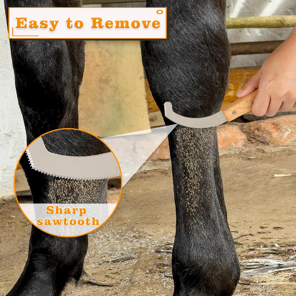 Butfly Bot Fly Egg Knife for Horses, Stainless Steel Bot Fly Egg Remover ...
