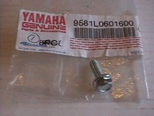 GENUINE YAMAHA M6x16 FLANGE HEX HEAD BOLT 9581L-06016 TT600 WR400 YN50 FZS1000 +