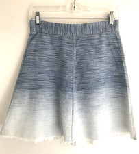 AllSaints Jina Skirt Woven Cotton Blue Ombre Raw Hem Sz 6 Quiet Luxury