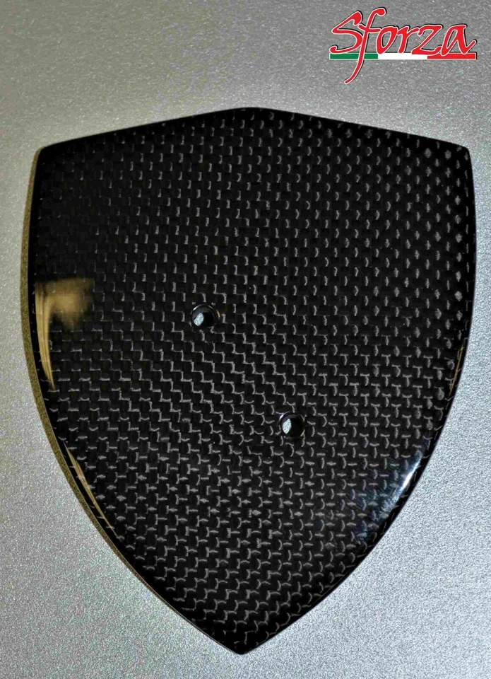 Escudos guardabarros delanteros de fibra de carbono Ferrari 458 Foto 2 de 4