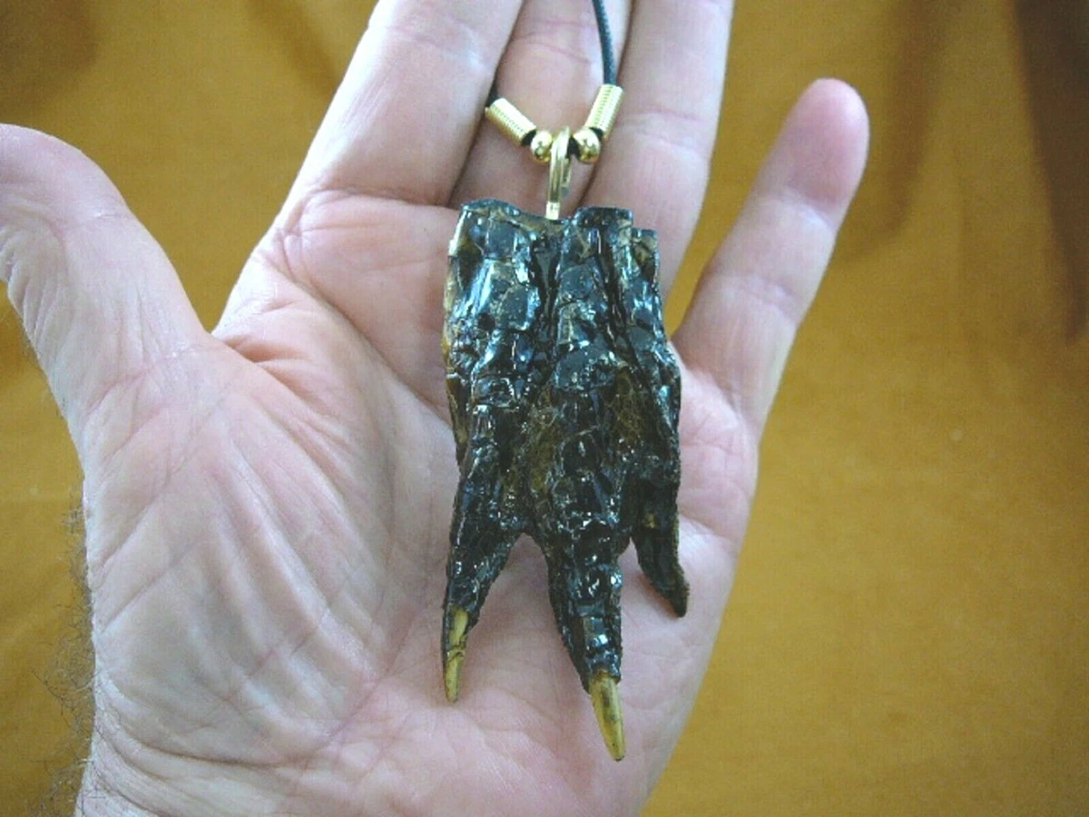 Alligator claw shop necklace
