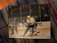 1994-95 AHL 8 PHOTO LOT CHICAGO WOLVES STADIUM NHL BLACKHAWKS WHA IHL WHL CHL 