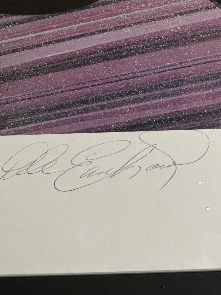 Dale Earnhardt Sr. Signed Lithograph, JSA, Custom Framed 33x19 Inches  - Image 2 of 4