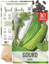 Luffa Seeds for Planting Loofah Sponge Gourds - Non-GMO Heirloom  1 Pack