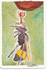 ACEO original Watercolor art miniature art new wasp ant