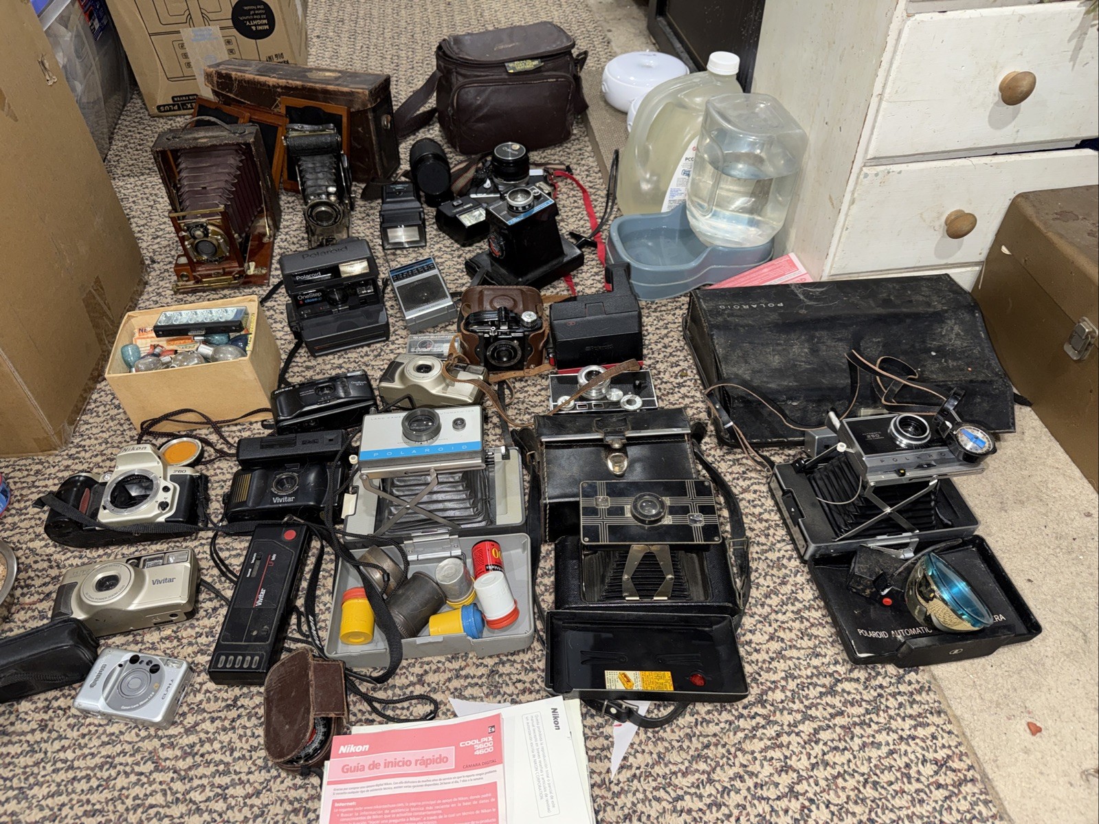 Vintage Camera Collection