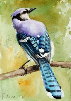 Blue Jay Bird Original Watercolor Painting Wildlife Art Artist Signed OOAK