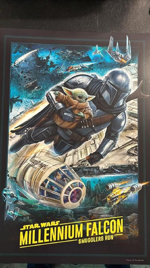 Millennium Falcon Smugglers Run Mandalorian Grogu Star Wars DLR Magic Key Poster
