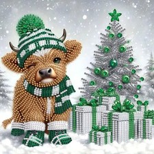 Special Shape Diamond Art Kits for Adults 12 inches x 12 inches, SH100