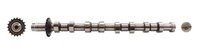 AE Nockenwelle CAM751 FüR Lancia Peugeot C5 807 Fiat 607 Ulysse 4HT C8 Zeta 4HS