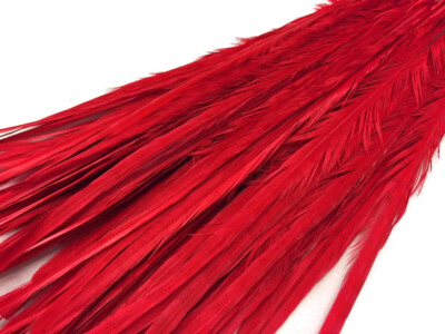 50 Feathers 18-22'' Red Long Ringneck Pheasant Tail Wholesale Halloween Costume