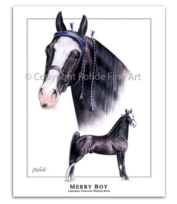 TENNESSEE WALKER walking HORSE ART PRINT - MERRY BOY famous stallion portrait