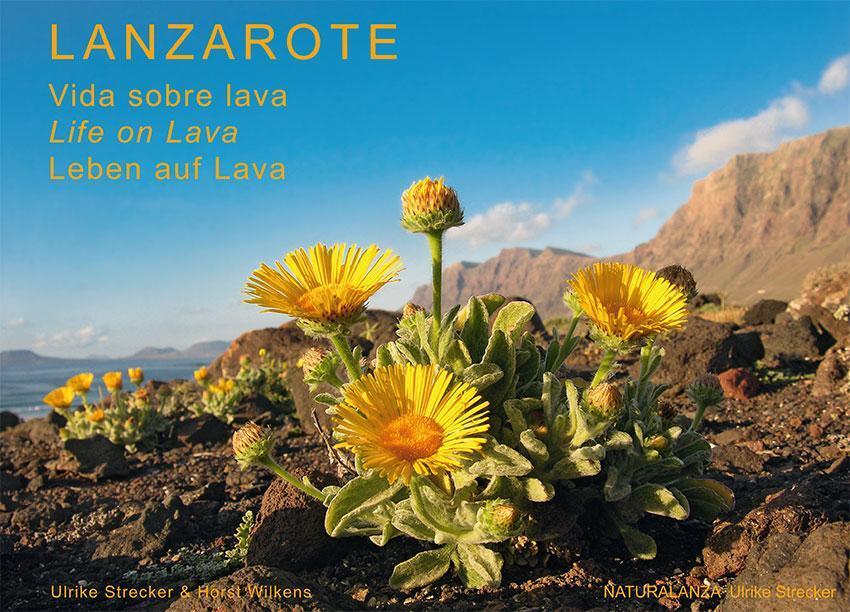 Thumbnail - Lanzarote - Leben Auf Lava Ulrike Strecker