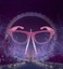 AngloEuropeanEyewear