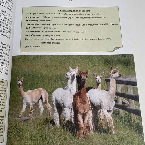 A Place For Alpacas Breeding Shearing Health Fleece History Showing Cilla Taylor - Picture 8 of 13
