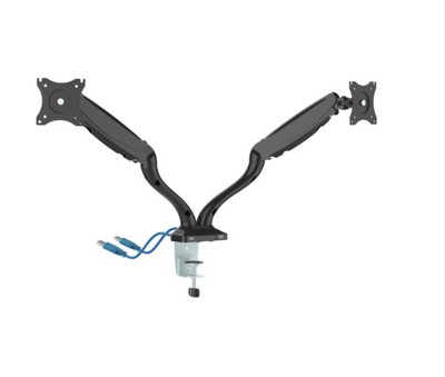 Lorell Dual Arm Monitor Mount W/ USB Ports 99978
