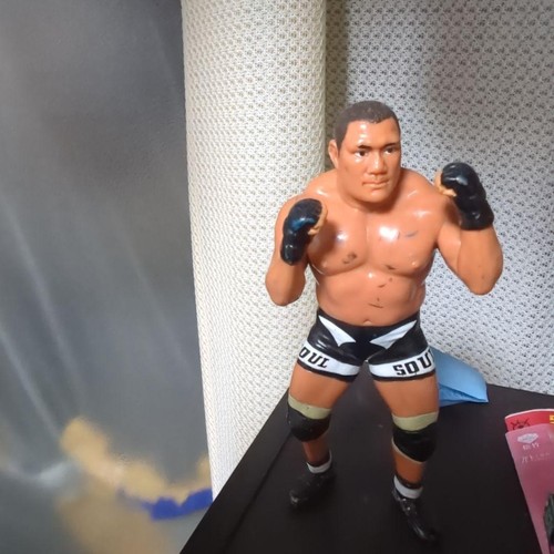 [OBO/MSG]  Pr Essional Wrestler Figure Approximately 15 Kazuyuki Fujita - Afbeelding 3 van 3