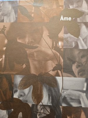 Ame Fiori 12 Inch Vinyl Single Record Germany 2007 O-ton10 VG