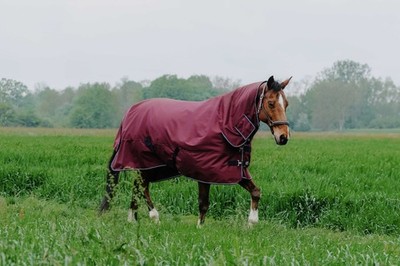 EQUITHÈME Decke - TYREX 1200D - Combo 6'0''/135 cm, Steppung: 200 g/m²