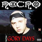 Necro  - Gory Days (Splatter Vinyl) Vinyl 2LP NEU 09555317