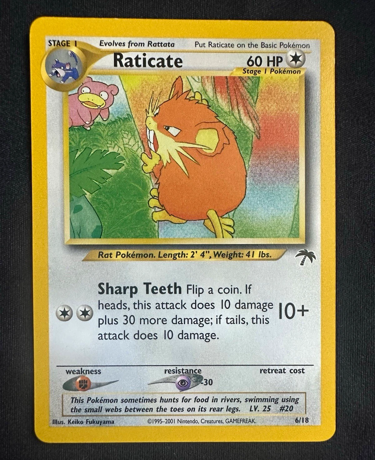 Raticate - Southern Islands #6 Price & Value ($34.06) | PokeScope