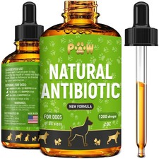 Dog Antibiotics for Infections, 2 Fl Oz, Light green with golden elemnts